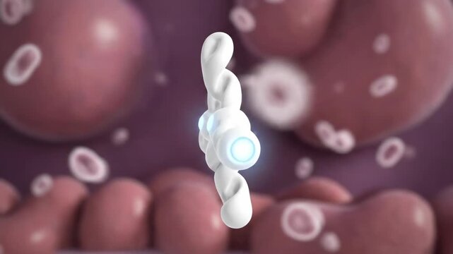 Animated 3D visualization of insulin molecule in bloodstream, glowing receptor sites
