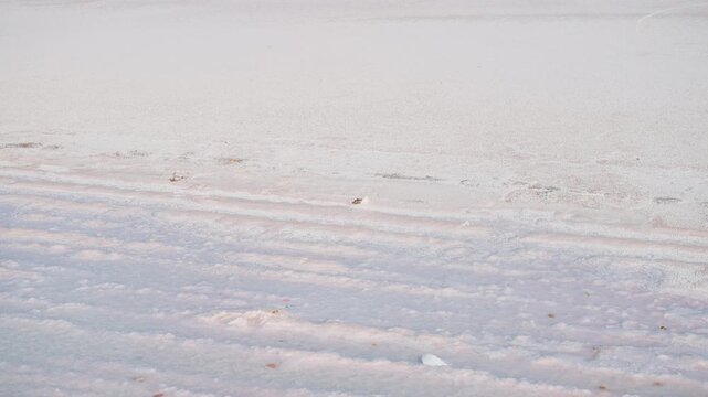 4K Landscape shot of white Rann of Kutch due to the salt deposits as seen in White desert of Kutch in Gujarat, India. Scenic view of white land of Kutch during the winter season.