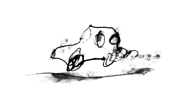 Hand drawn ink wash illustration of a speeding car