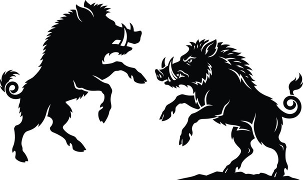 Black silhouette illustration of two aggressive boars facing each other