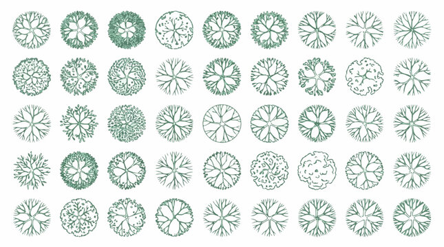 Architectural tree symbols for landscape design, set of 40 top view garden plant icons, green hand drawn sketch trees for site planning