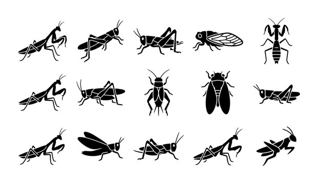 Black insect silhouette icons set, 15 vector grasshopper and praying mantis symbols, minimalist cicada and cricket bug illustrations for nature design