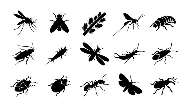 Insects and garden pests silhouette collection, 15 black bug icons including mosquito, ant, and cockroach, pest control vector set for extermination services