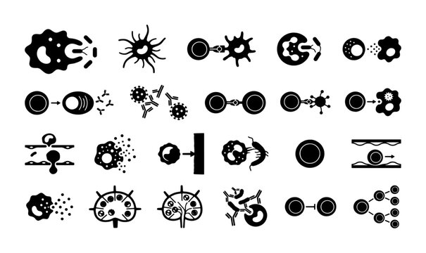 Immune system icons set, black and white immunology vector elements, 24 medical diagrams of cell interaction and defense mechanism