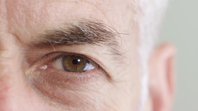 Blink, eye and perception with man in studio for optometry appointment or checkup. Eyesight, healthcare and vision with mature patient at ophthalmology assessment for visual correction or improvement