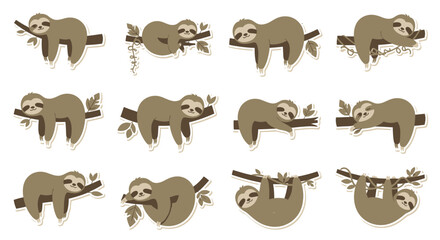 Cute Sloth Illustrations: Relaxed and Sleepy Poses on Tree Branches © Bawal market design