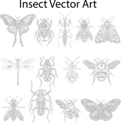 Set of detailed insect vector illustrations © Omar