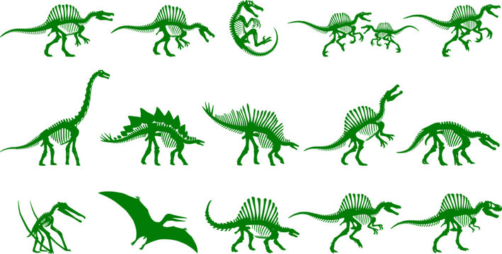 Dinosaur fossil bundle illustrating prehistoric reptile skeletons and ancient bone remains for paleontology education