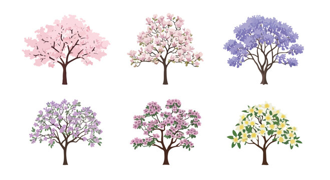 Blooming spring trees collection, set of 6 flowering garden tree vectors, cherry blossom and jacaranda botanical illustrations on white background