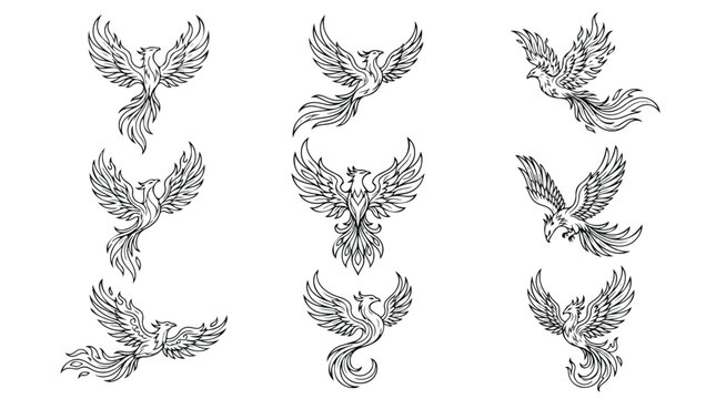 Mythical phoenix bird line art collection, 9 vector firebird illustrations, black and white rising phoenix silhouettes for tattoo design and logos