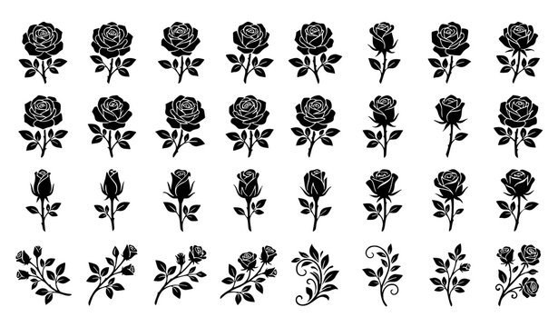 Black silhouette pattern or set of rose flowers with stems and leaves on white