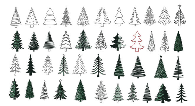 Huge variety of fifty different hand-drawn pine and evergreen tree silhouettes and sketches in various artistic styles and fills.