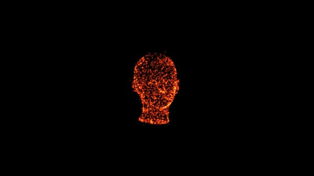 Rotating 3D Human Head Animation