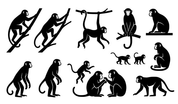 Black silhouette set of playful monkeys climbing and swinging on vine branches