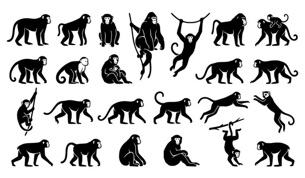 Large collection of chimpanzee and monkey silhouettes in various active poses