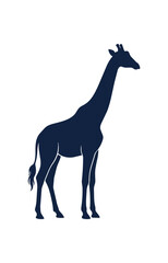 Fototapeta premium Silhouette of a Majestic Giraffe Standing Tall.