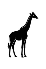 Fototapeta premium Silhouette of a Majestic Giraffe Standing Tall.