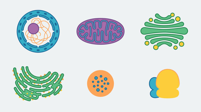 Colorful stylized cell organelles illustration set of icons.