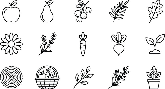 Hand drawn minimalist botany vector icon set featuring fruits vegetables leaves basket flower wood ring and potted plant elements