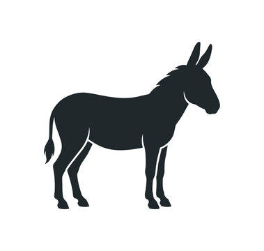 Silhouette of a Donkey Standing Proudly.