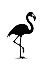 Fototapeta premium Silhouette of a Flamingo Standing on One Leg.