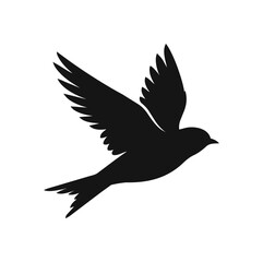 Fototapeta premium Silhouette of a bird in flight with wings spread.