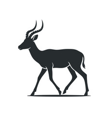 Fototapeta premium Silhouette of an elegant gazelle with curved horns.