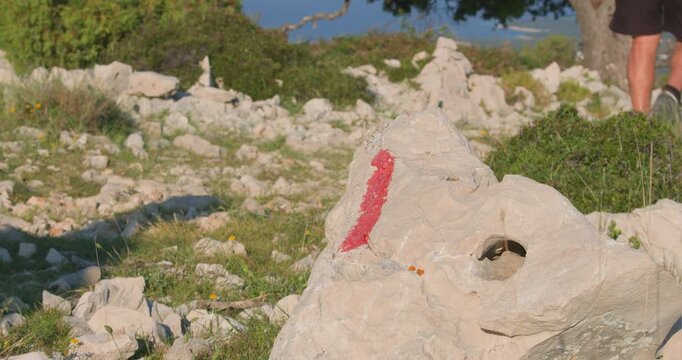 Hiking on the Craggy Landscape of Rab Island, Croatia