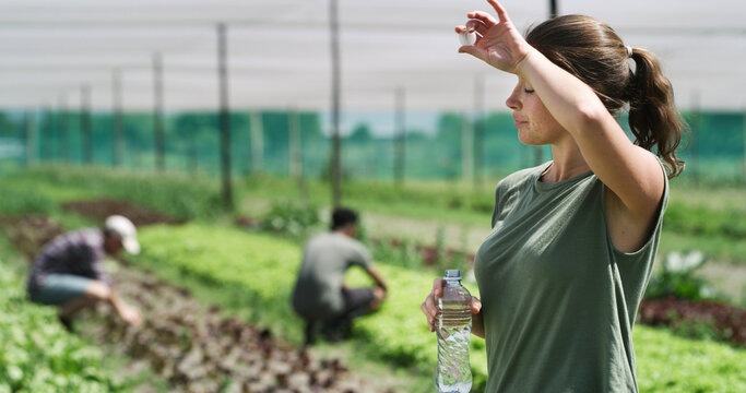Farmer, woman and sweat with water break for agribusiness, fatigue and hot weather in greenhouse. Tired, person and hydration on farm with sustainable agriculture, rest and heat from global warming.
