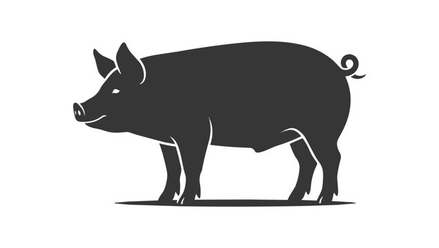 Silhouette of a Domestic Pig Standing Profile View.