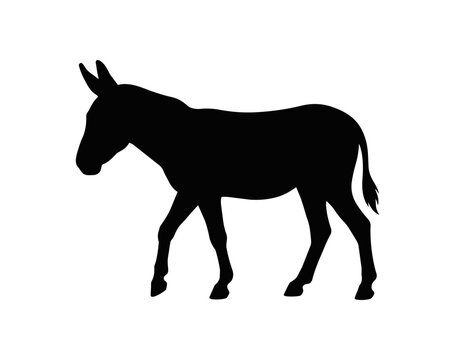 Silhouette of a Donkey Walking in Profile.