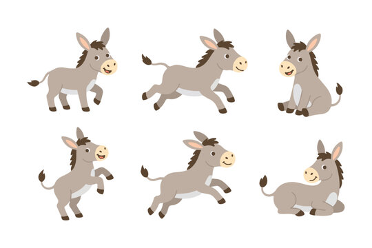 Cute Donkey Character Set and Various Poses Mascot Vector Bundle