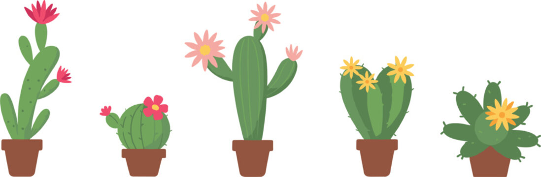 Cactus vector collection isolated, flowering succulent plants and desert botanical illustration design set