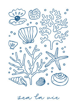 Seashells collection with aesthetic quote "sea la vie". Vintage Coastal wall art, greeting card, wedding invitation, postcard, logo design.