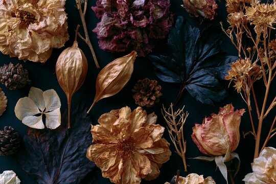 Overhead flat lay of dried autumn botanicals including flowers, leaves, and pine cones arranged on a dark background for seasonal decor and craft projects