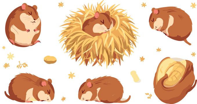Cute Sleeping Hamster Vector Illustration Set Featuring Adorable Fluffy Rodent Pets Curled Up Napping in Straw Nest and Peanut Shell Elements