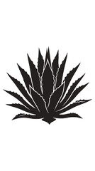 Fototapeta premium Agave succulent plant silhouette minimalist botanical design.