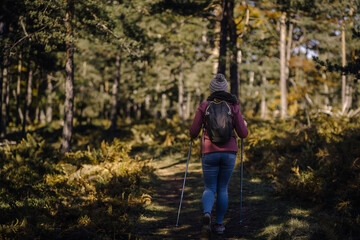 Obraz premium Woman hiking forest path during autumn season