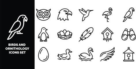 Fototapeta premium Set of black and white line featuring various birds, eggs, nests, feathers, birdhouses, and binoculars for ornithology studies