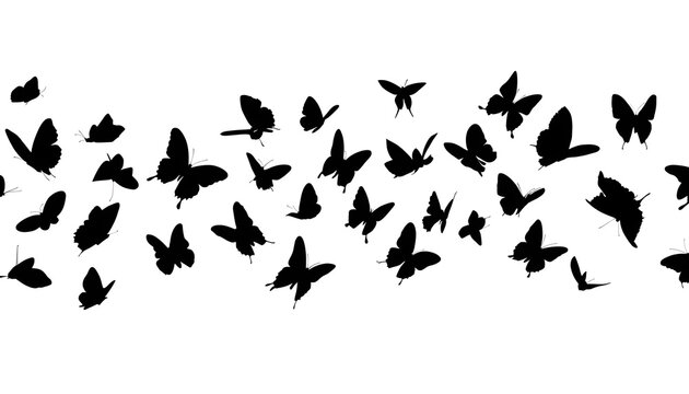Swarm of black butterfly silhouettes flying in a horizontal wave pattern isolated on white background for decorative borders motion design and nature inspired graphics for summer and spring themes.