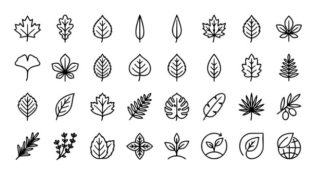 leaves, leaf, vegan, eco, plant, growth, organic, nature, botanical, foliage, herbal, outline, icon, icons, vector, ecology, green, natural, branch, maple, oak, birch, garden, environment, symbol, col