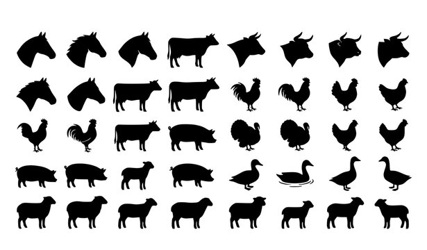 Agricultural farm animal silhouette vector pack with horse cow bull pig poultry and sheep icons