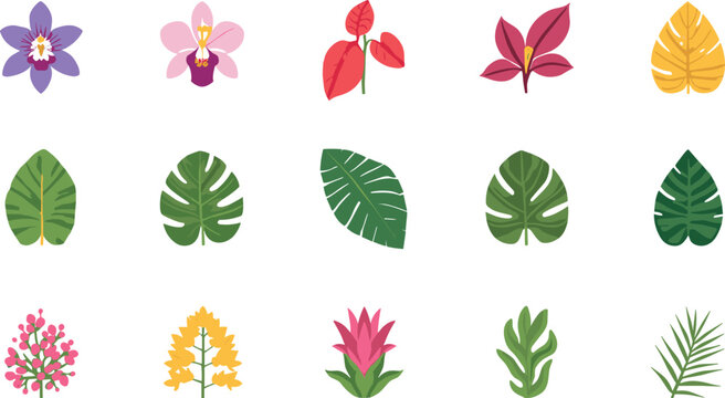 Tropical Floral Icon Set featuring Orchid Flowers Monstera Leaves Palm Fronds and Exotic Jungle Plants for Summer Patterns and Botanical Vector Designs