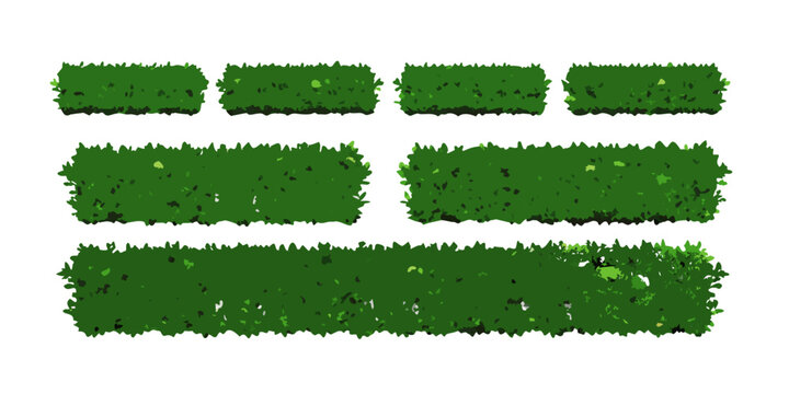 Green garden hedge bushes set, vector