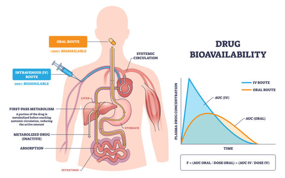 Drug bioavailability outline shows oral vs IV absorption and first-pass effects through liver and gut, pill, syringe, and concentration-time graph illustrate systemic exposure, transparent background.