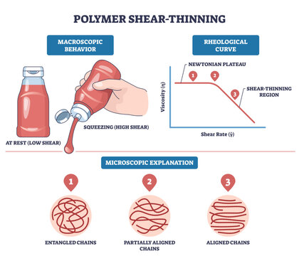 Polymer shear-thinning illustrated with a ketchup bottle, rheology curve, and aligned chains, showing viscosity drops as shear increases, transparent background