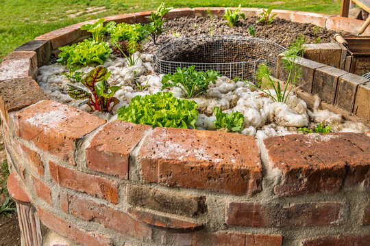 Durable raised bed with an opening for a composter and vegetable scraps, covered with raw sheep wool