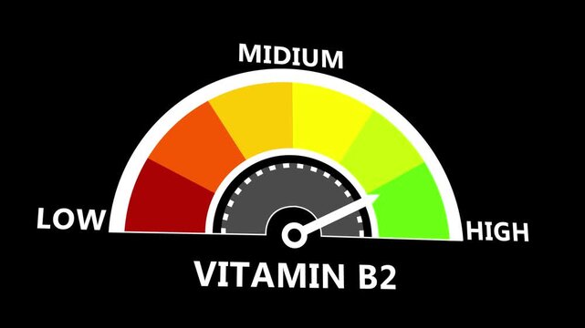 Vitamin B2 Health Gauge Animation with Nutritional Monitoring Indicator and Medical Assessment Display on Black Background 4k animation video