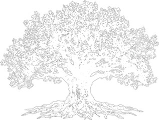 Obraz premium Intricate outline drawing of a mature tree, detailed roots and branches forming silhouette against transparent background