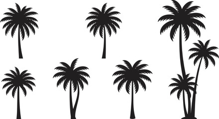 Obraz premium Collection of tropical palm tree silhouettes isolated on white background, summer beach island design set, exotic vacation paradise vector illustration